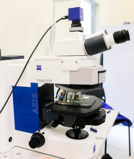 Optical microscope Zeiss - Axio Imager.A2m